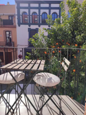 Loft House Triana